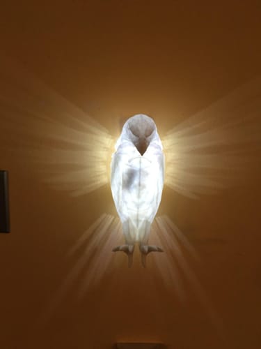 Customer photo review of LitLamp™ Luminous Eagle