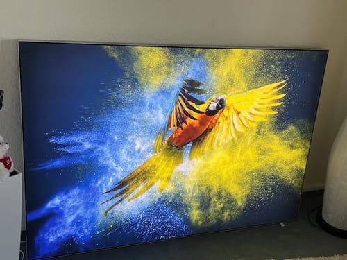 Customer photo review of Canvalight® Leuchtbild | Papagei - Farbexplosion | Querformat