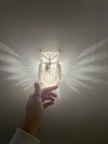 Customer photo review of LitLamp™ Luminous Eagle