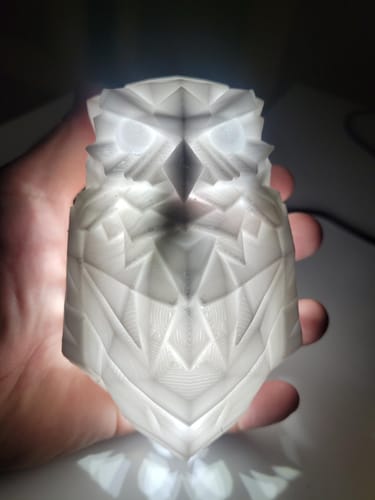 Customer photo review of LitLamp™ Luminous Eagle