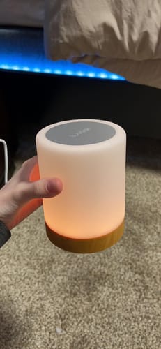 Customer photo review of Friendship Lamp
