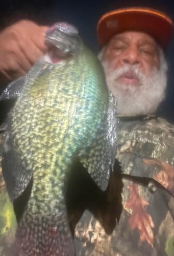 Customer photo review of HCG Tungsten Crappie Jig Heads 5 Pack
