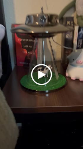 Customer video review of The Original Alien Abduction Lamp