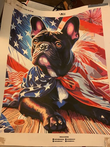 Customer photo review of Custom Paint by Number Kit