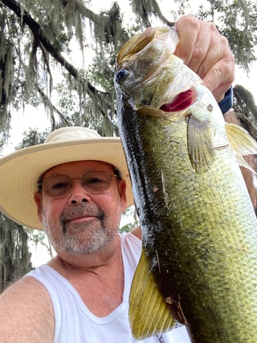 Customer photo review of 8 Strand Braided Fishing Line Series - Super Sleek & Smooth Braided Fishing Line - High Performance Fishing Line For Saltwater & Freshwater