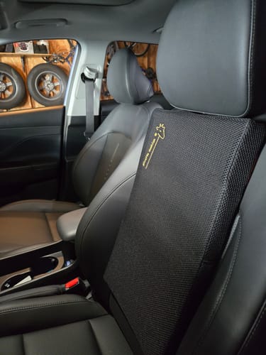 Customer photo review of Giraffe Cushion