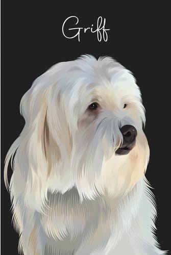 Customer photo review of Pet Art Canvas Wrap