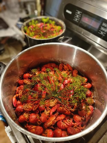 Customer photo review of Live Oregon Crawfish - Labor Day Pre-Order