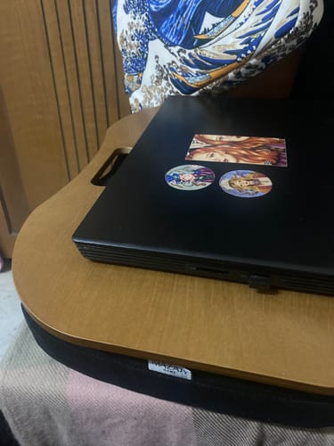 Customer photo review of Lazylap
