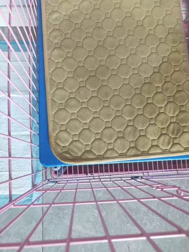 Customer photo review of Pet Travel Bag Disposable Pee Pad