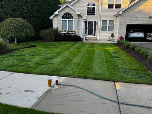 Customer photo review of GCI Turf Cool Blue Grass Seed