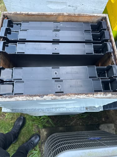 Customer photo review of 9 5/8” Deep Frame Feeder | 1 Gallon - With Cap & Ladder