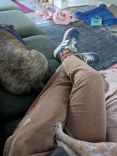 Customer photo review of Hemp Jogger 2.0