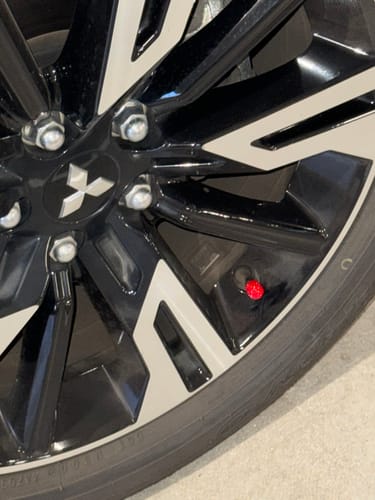 Customer photo review of Lil' Princess Valve Caps