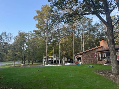 Customer photo review of GCI Turf Spreader Elite Grass Seed