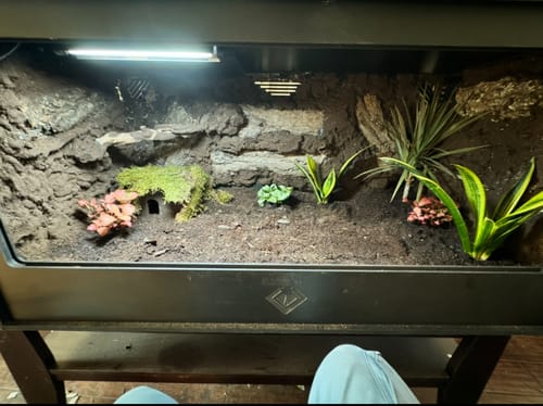 Customer photo review of XT4 BIO24 (48Lx24Dx24H) - STACKABLE