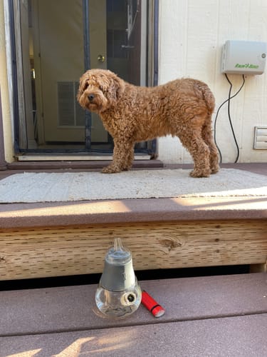 Customer photo review of Bubbler Tube