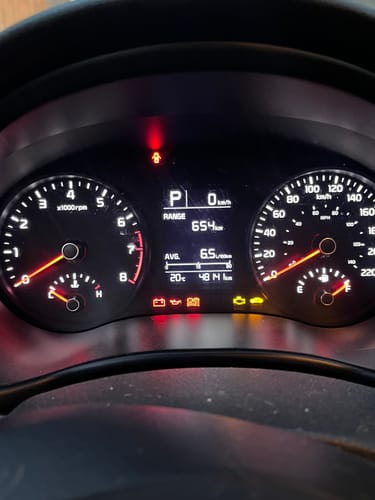 Customer photo review of Slim Pants