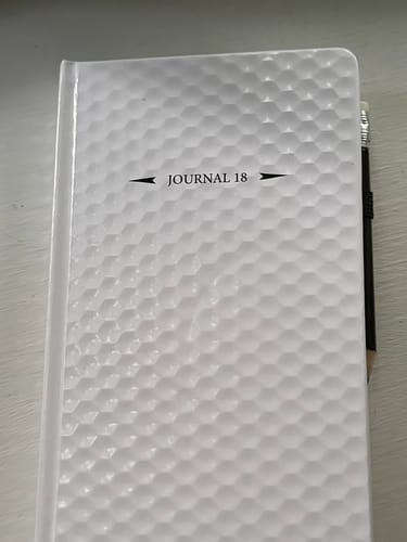 Customer photo review of The Performance Journal