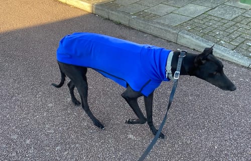 Customer photo review of Fleece Sighthound Base-Layer Coat with Underbelly and Snood