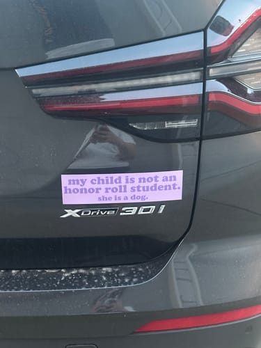 Customer photo review of Honor Roll Girl Dog Car Magnet