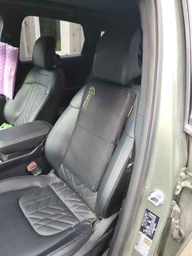 Customer photo review of Giraffe Cushion