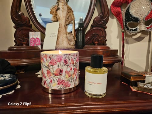 Customer photo review of Sunset in Paris