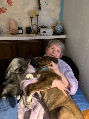 Customer photo review of Traveling/Motion Sickness Support Formula for Dogs, 300 Tablets, 30-Day Supply