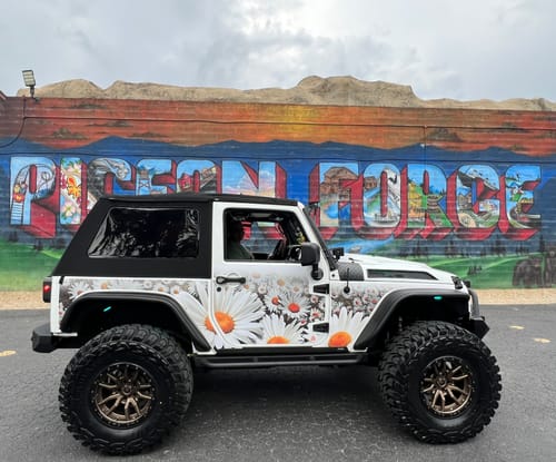 Customer photo review of Jeep JK and JKU Billet Paddle Replacement Door Handles