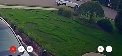 Customer photo review of GCI Turf Type Tall fescue Grass Seed