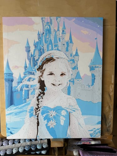 Customer photo review of "Frozen Enchantment" Paint by Numbers Kit