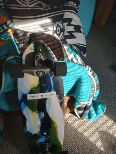 Customer photo review of Arbor Collective SURF SKATE Ryan Lovelace Shaper Surf Skateboard Longboard With Carver Trucks