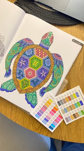 Customer photo review of Ohuhu - Set 48 Marcadores al Alcohol Honolulu B Doble Punta