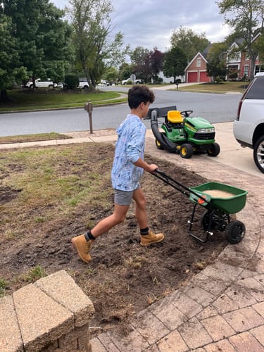 Customer photo review of GCI Turf Cool Blue Grass Seed