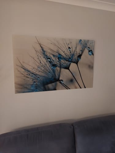 Customer photo review of The Dandelion