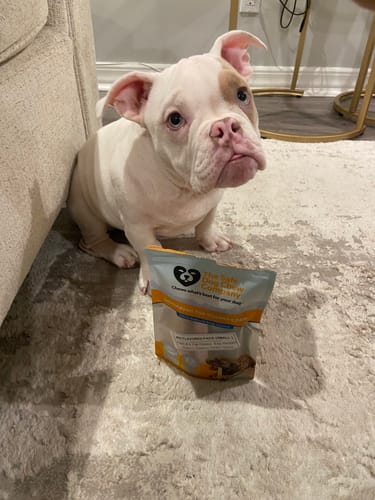 Customer photo review of MIX FLAVORED (Strawberry, Banana, Pumpkin, & Blueberry): A PACK OF 4 STICKS