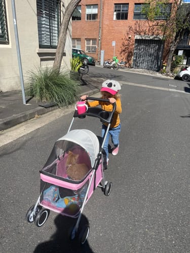 Customer photo review of Pawz Compact & Comfortable Pet Stroller