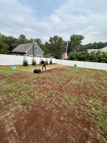 Customer photo review of GCI Turf Cool Blue Grass Seed