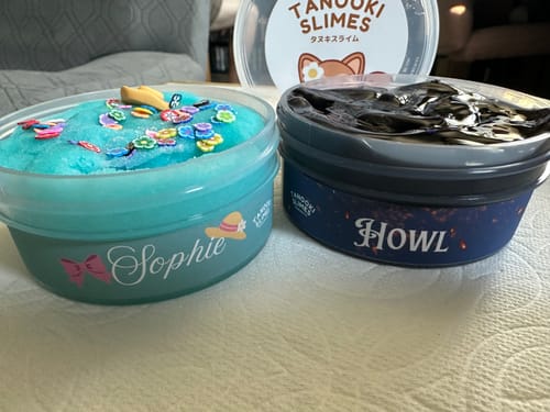 Customer photo review of Howl and Sophie Bundle