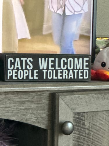 Customer photo review of Cats Welcome Box Sign