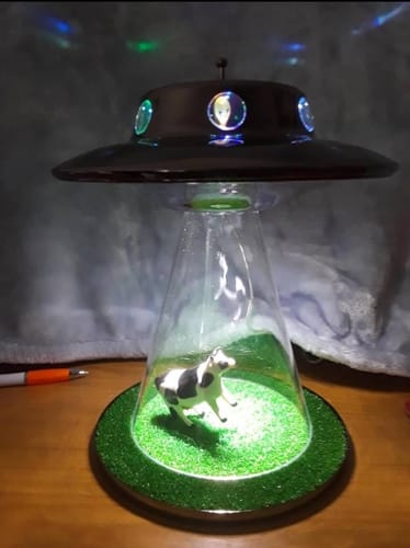 Customer photo review of The Original Alien Abduction Lamp