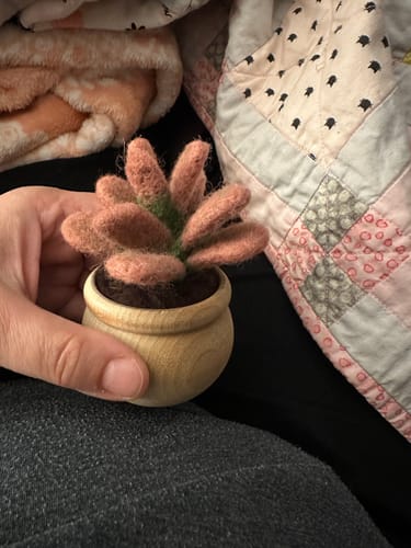 Customer photo review of Sunrise Succulent Mini Needle Felting Kit
