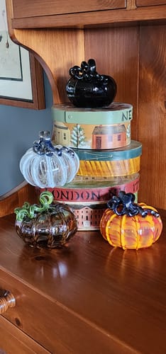 Customer photo review of Daily Pumpkin 520 Squat
