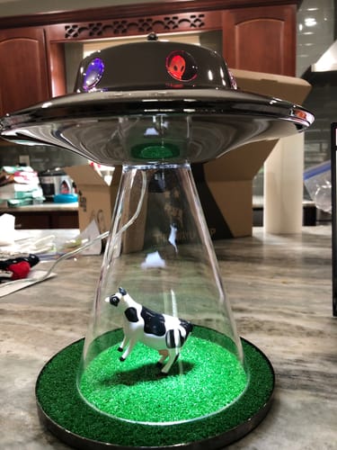 Customer photo review of The Original Alien Abduction Lamp
