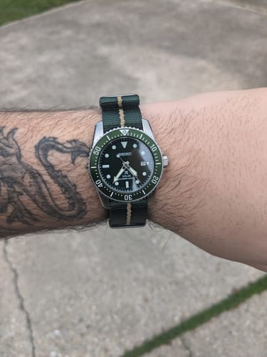 Customer photo review of AlphaShark - Emerald Boa