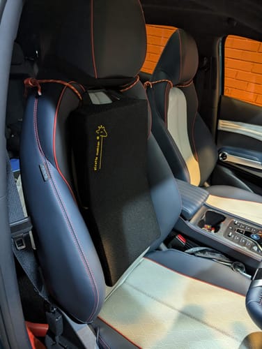 Customer photo review of Giraffe Cushion