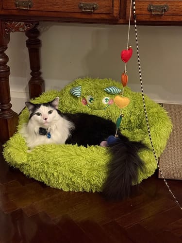 Customer photo review of Little Monsters Series All Seasons Cozy Pet Bed
