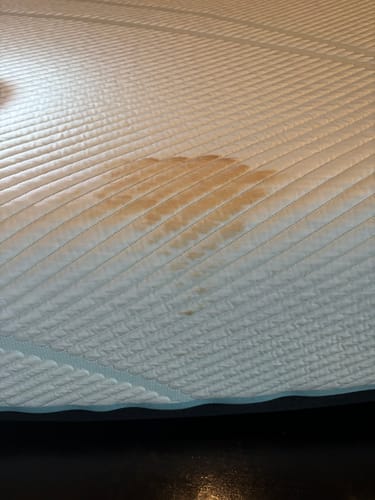 Customer photo review of Green Mitt Kit