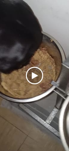 Customer video review of Frischfutter für Energiebedarf von 1402 kCal/Tag