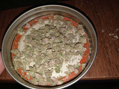 Customer photo review of Tropic Thunder